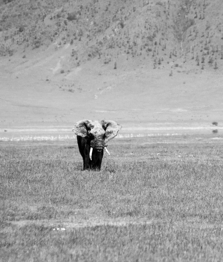 Strategies for managing your health while travelling