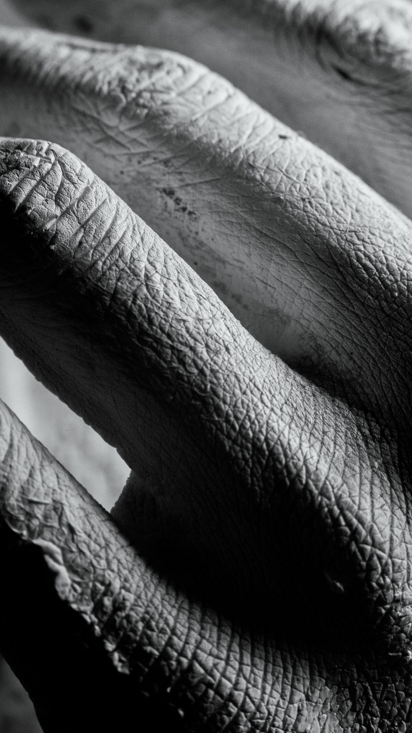 Close up of hand and skin
