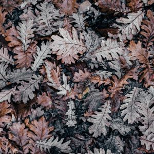 Packing for a weekend staycation: Tips from a T1D couple this autumn