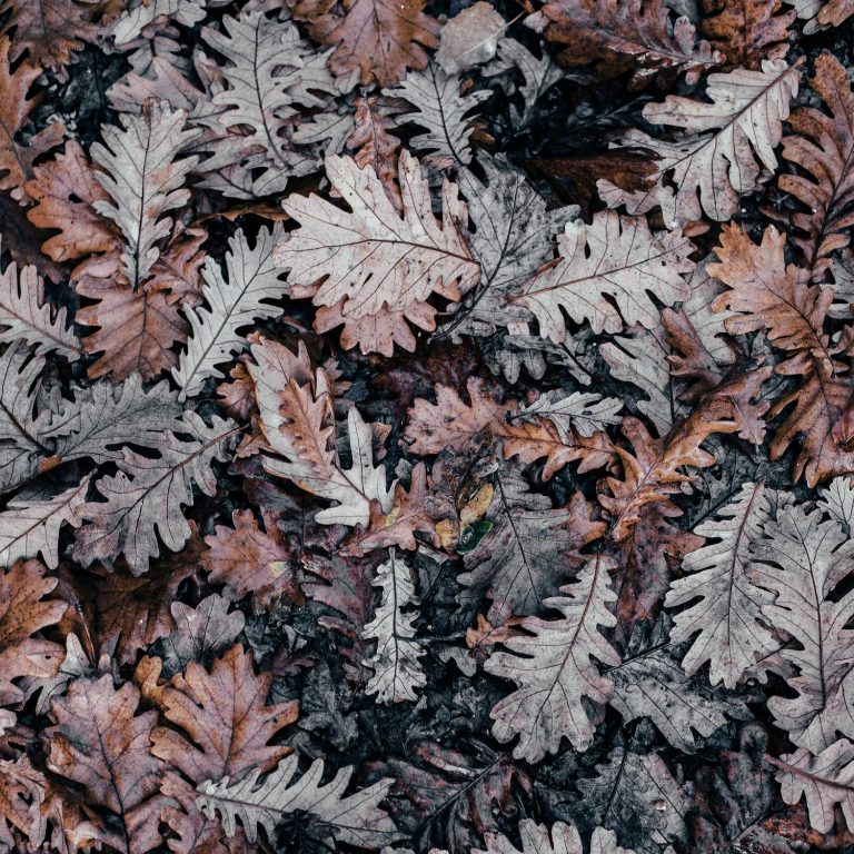 Packing for a weekend staycation: Tips from a T1D couple this autumn