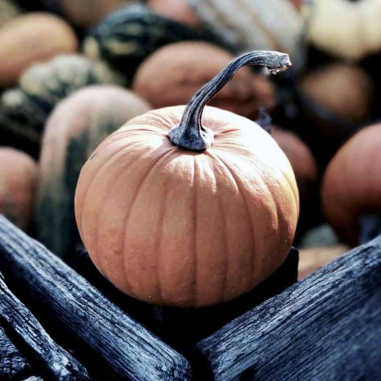 Harnessing autumn: A seasonal boost for diabetes management and well-being