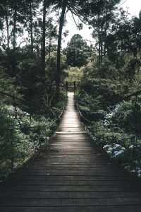 The other side: Loving through the highs and lows