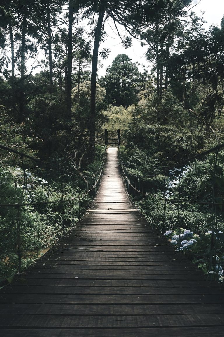 The other side: Loving through the highs and lows