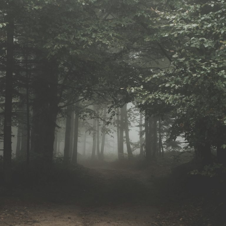 The role of diet in diabetes management: Facts vs. myths